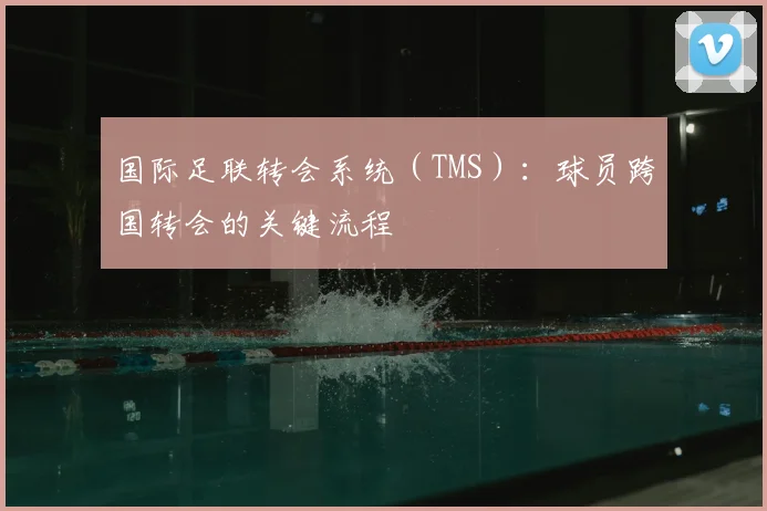 国际足联转会系统(TMS):球员跨国转会的关键流程