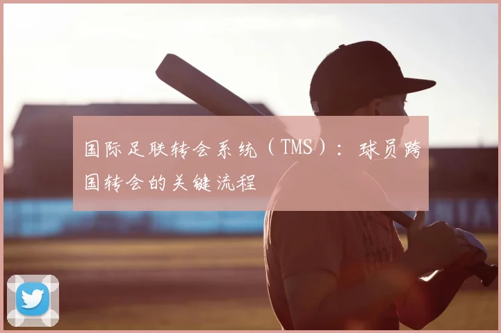 国际足联转会系统(TMS):球员跨国转会的关键流程